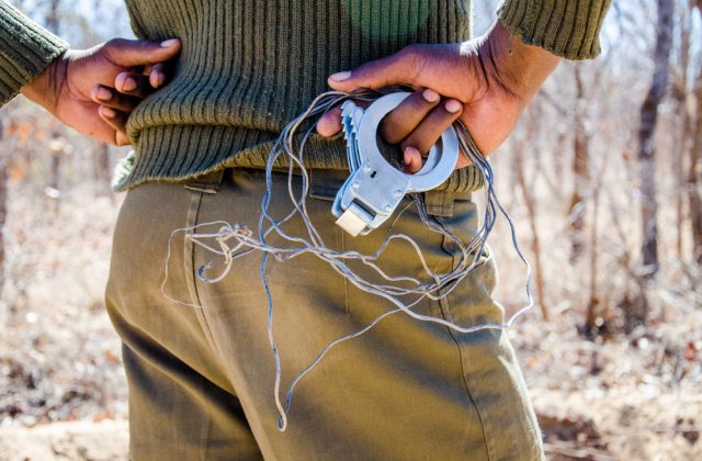 Braconajul, o adevărată problemă. Trei bărbați au fost reținuți