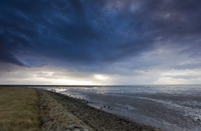 ONU: Apa poluata ucide mai multi oameni decat razboaiele