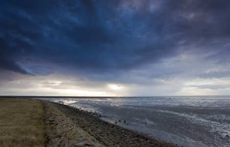 ONU: Apa poluata ucide mai multi oameni decat razboaiele