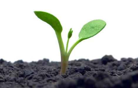 Romania, codasa UE la randamentul in sectorul agricol