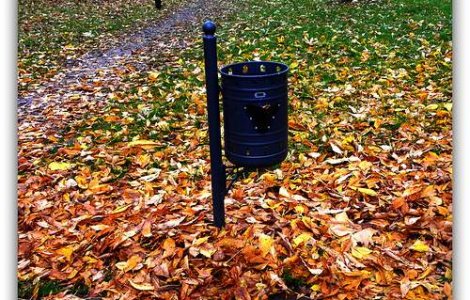 2 milioane de cosuri de gunoi pe strazile Capitalei