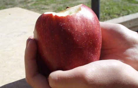 Criza din Grecia, "marul discordiei" intre Fed si BCE?