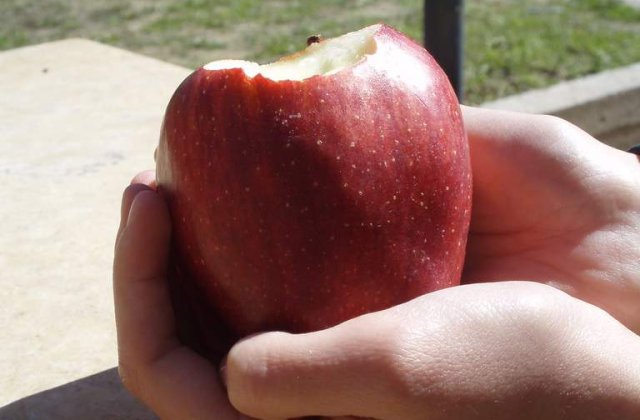 Criza din Grecia, "marul discordiei" intre Fed si BCE?