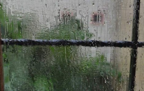 Cod portocaliu de ploi pentru Capitala si opt judete din sud-est