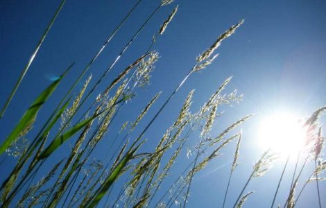 Expunerea excesiva la soare poate avea efecte benefice pentru sanatate