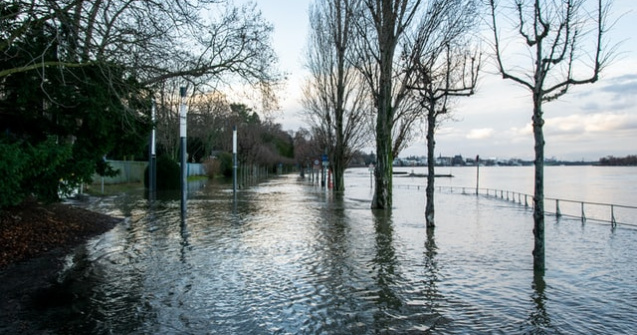 Cod ROȘU de inundații în două județe din România