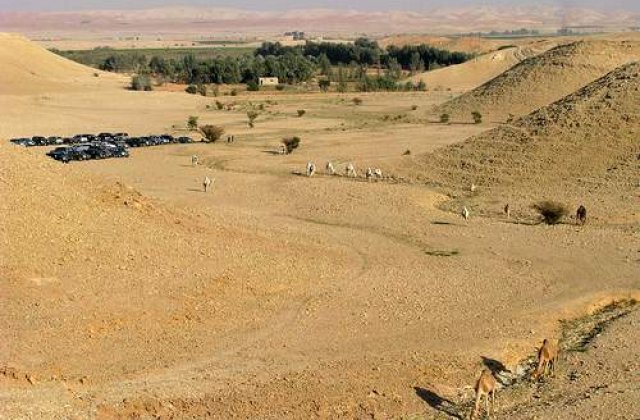 O celula al-Qaida, anihilata in Arabia Saudita