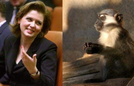 Anastase, comparata cu o maimuta