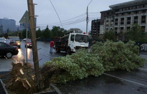 Trei raniti, 61 de masini avariate si 125 de copaci cazuti in Capitala, in 10 ore