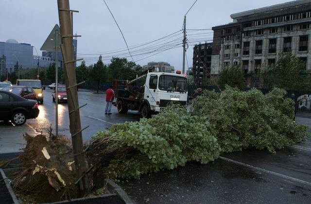 Trei raniti, 61 de masini avariate si 125 de copaci cazuti in Capitala, in 10 ore