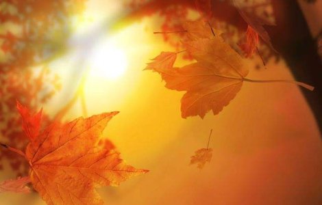 Afla cand se va incalzi vremea