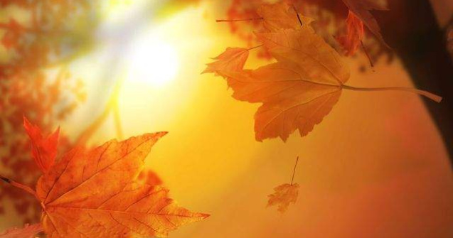 Afla cand se va incalzi vremea