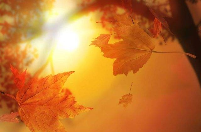 ANM: "Nu s-a instalat iarna! Episodul actual e trecator". Afla cand se va incalzi vremea