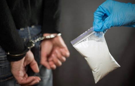 Etnobotanice aduse din Olanda în România! Ce au transmis procurorii DIICOT