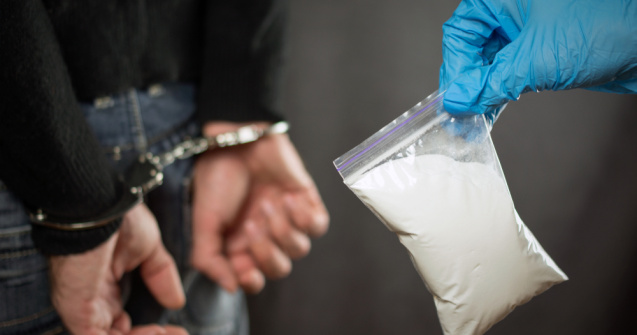 Etnobotanice aduse din Olanda în România! Ce au transmis procurorii DIICOT