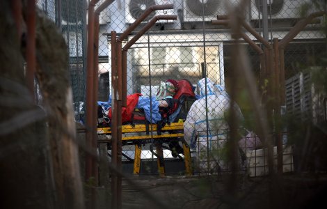 Boala rară semnalată la munte. Un bărbat din Neamț a fost infectat cu un virus periculos