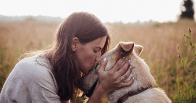  Top  Cele mai importante lucruri pe care orice iubitor de câini ar trebui să le știe