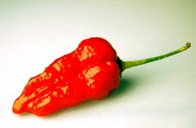 Ardeiul iute: Arma secreta a Indiei impotriva terorismului