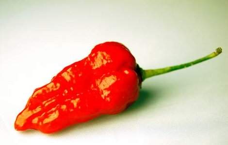 Ardeiul iute: Arma secreta a Indiei impotriva terorismului