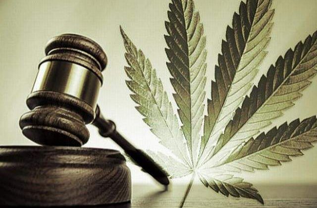 Agentia Nationala a Medicamentului ar putea sa aprobe CANABISUL MEDICINAL