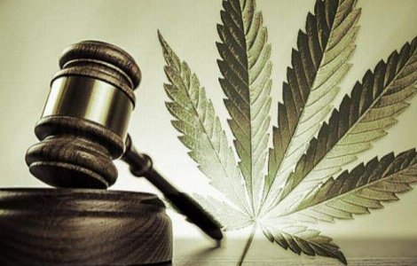 CANABIS medicinal in Romania: O reala posibilitate