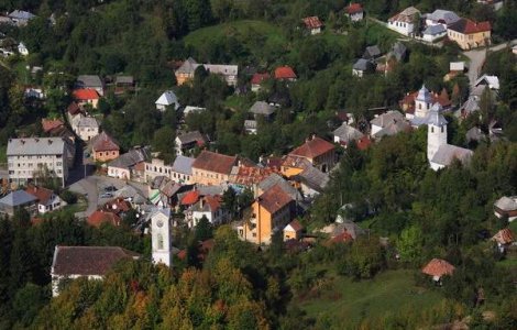 Ponta nu vrea ca Romania sa devina "o gradina botanica" si atat