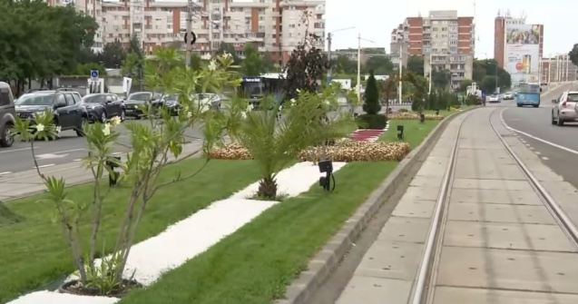 Craiova, oraș exotic. Oltenii stau la umbra palmierilor