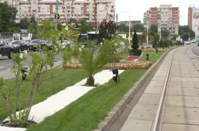Craiova, oraș exotic. Oltenii stau la umbra palmierilor
