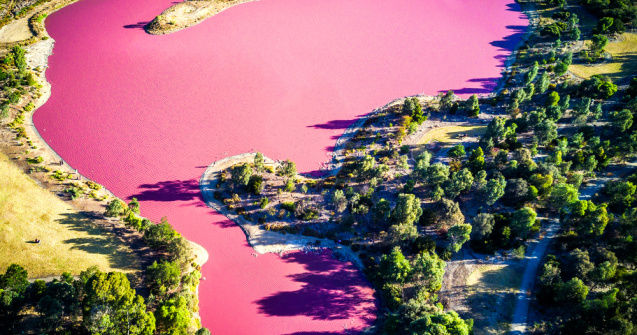 Un lac din Patagonia a devenit roz din cauza poluării