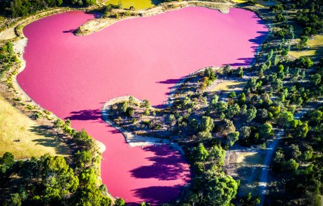 Un lac din Patagonia a devenit roz din cauza poluării