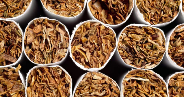 Tigarile contin sange de porc?