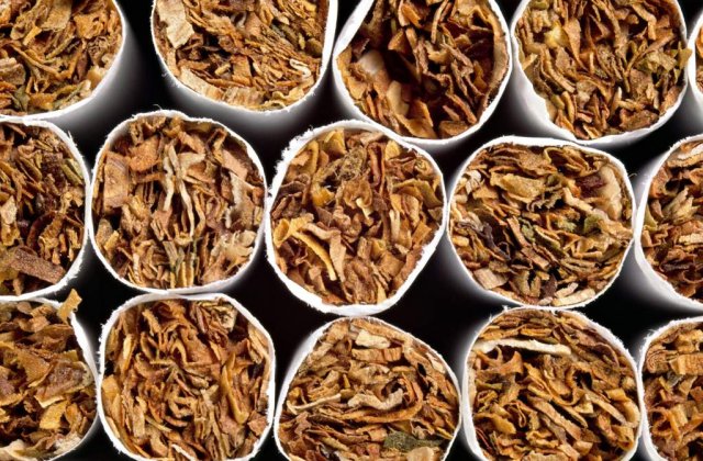 Tigarile contin sange de porc?