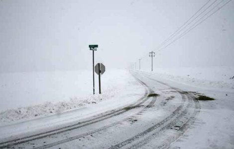 Prognoza meteo pentru urmatoarele trei luni