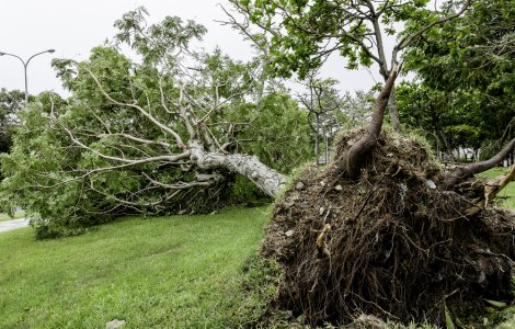 Furtuna a făcut ravagii în Botoșani! Șase mașini avariate, patru case afectate și 14 localități fără curent