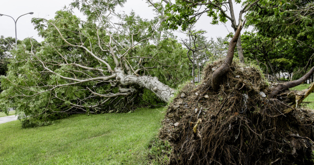Furtuna a făcut ravagii în Botoșani! Șase mașini avariate, patru case afectate și 14 localități fără curent