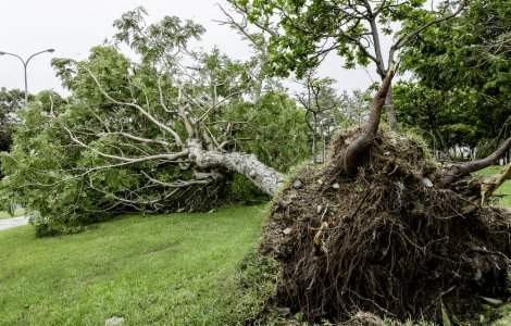 Furtuna a făcut ravagii în Botoșani! Șase mașini avariate, patru case afectate și 14 localități fără curent