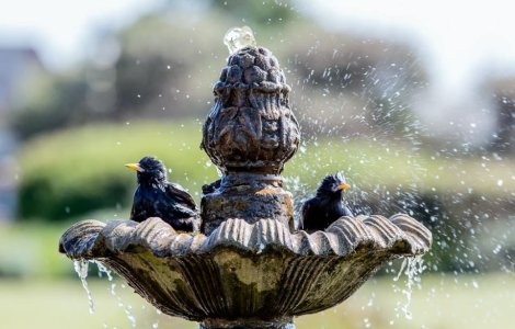 6 modele de fântâni decorative pentru grădină