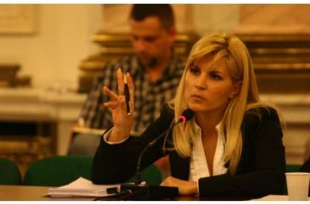 Udrea nu vrea legalizarea prostitutiei