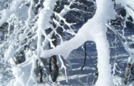 O iarna grea poate provoca o criza energetica in Europa