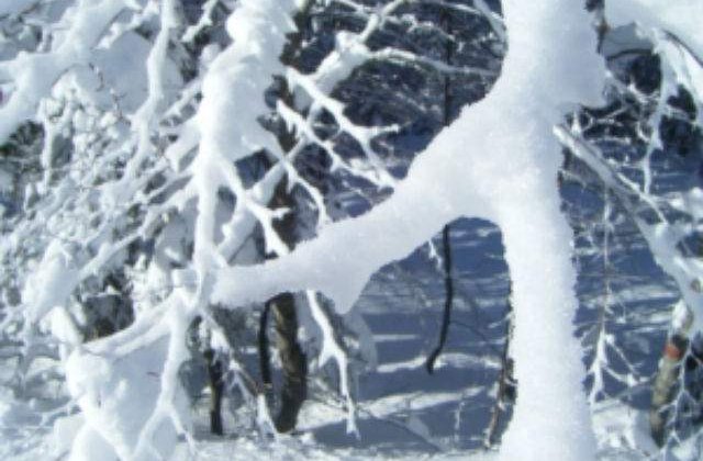 O iarna grea poate provoca o criza energetica in Europa