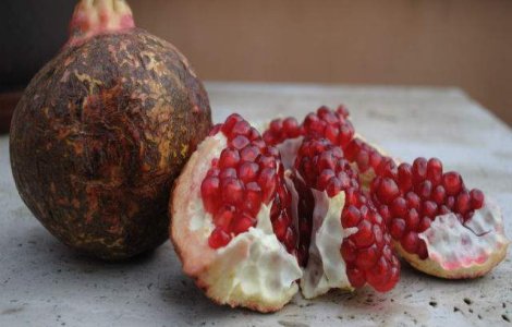 Rodiile protejeaza inima prin mentinerea sanatatii vaselor de sange