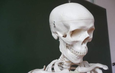 Efectul vitaminei D asupra densitatii osoase, sub semnul intrebarii