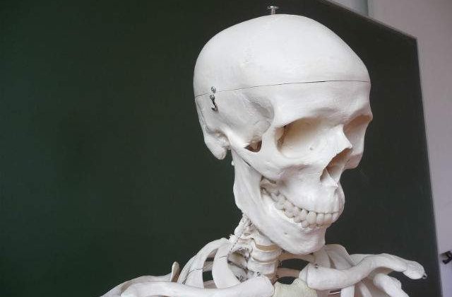 Efectul vitaminei D asupra densitatii osoase, pus sub semnul intrebarii