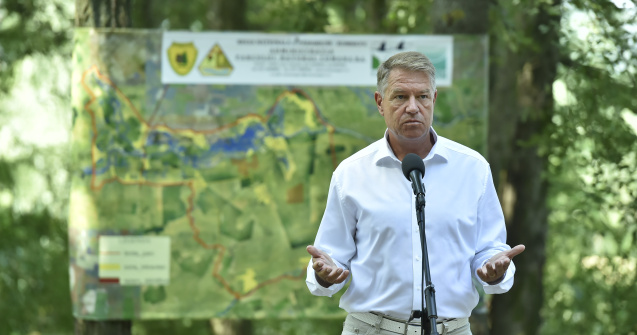 VIDEO Iohannis: În PNL este o luptă internă pentru voturi