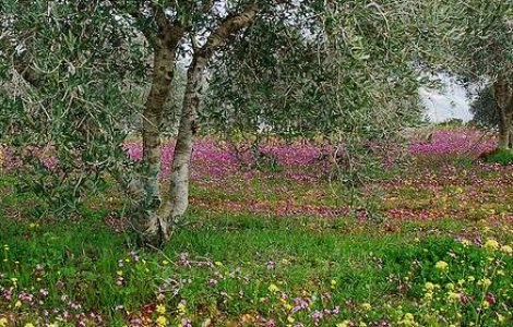 Cum va fi vremea de Paste?