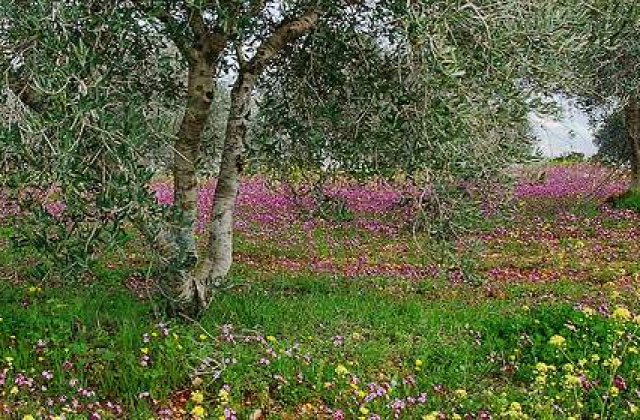 Cum va fi vremea de Paste?