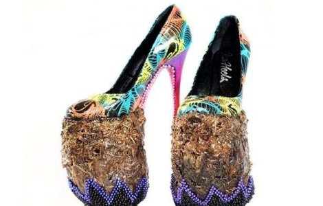 Pantofi din balega de elefant