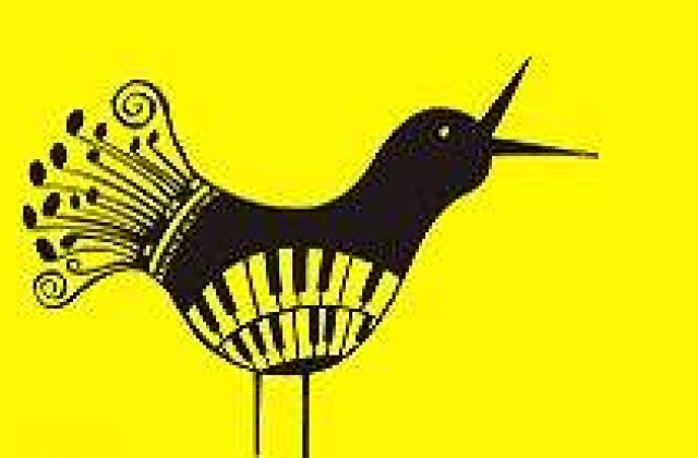 SoNoRo - InterferenTe sustine tinerii muzicieni