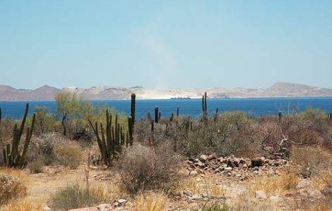 Cutremur puternic in Mexic