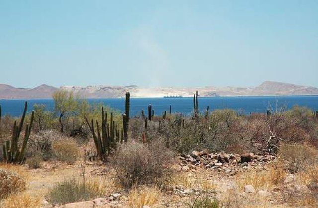 Cutremur puternic in Mexic